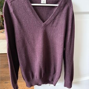 Crewcuts Burgandy V-Neck Sweater